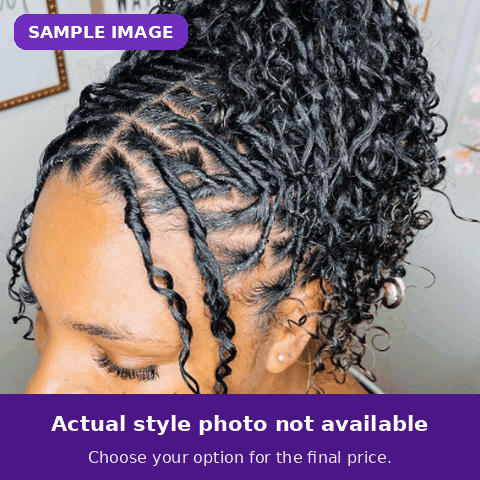 Sample image — actual CROCHET BRAIDS photo not available